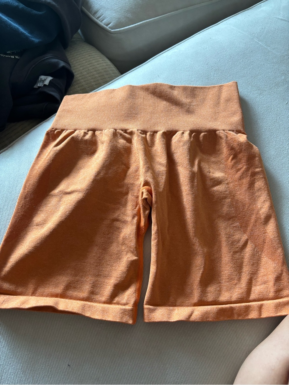 Nvgtn shorts